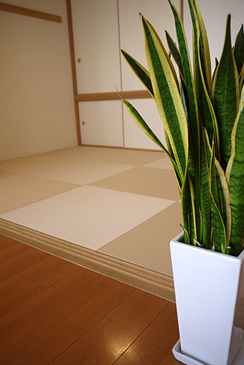 白茶色の琉球畳