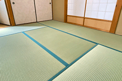 ひのみどり 麻綿W畳表