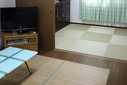 ﾀﾞｲｹﾝの和紙で出来た畳です・